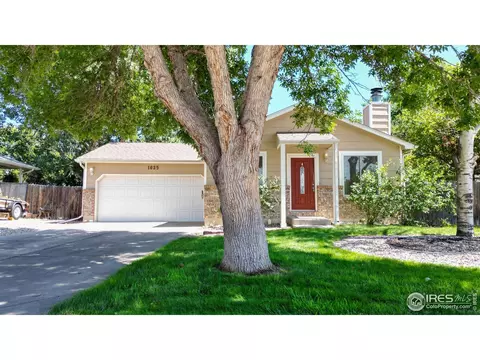 1025 Larch Dr, Windsor, CO 80550 photo 2