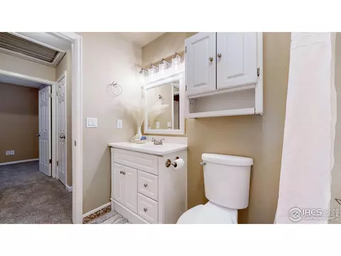 1025 Larch Dr, Windsor, CO 80550 photo 18