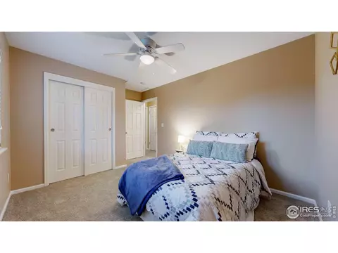 1025 Larch Dr, Windsor, CO 80550 photo 13
