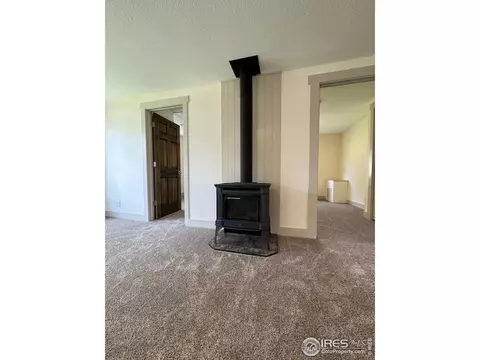 669 Harrison St, Walden, CO 80480 photo 7