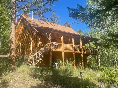 207 N Skinner Rd, Allenspark, CO 80510