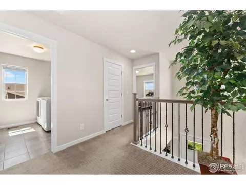 2181 Crop Row Dr, Windsor, CO 80550 photo 24