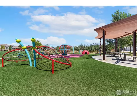 2181 Crop Row Dr, Windsor, CO 80550 photo 37