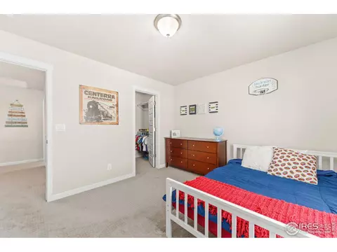 2181 Crop Row Dr, Windsor, CO 80550 photo 29