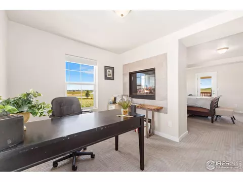 2181 Crop Row Dr, Windsor, CO 80550 photo 19