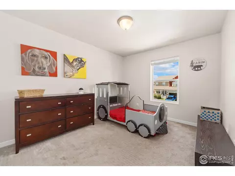2181 Crop Row Dr, Windsor, CO 80550 photo 28