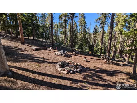 1152 Mosquito Dr, Red Feather Lakes, CO 80545