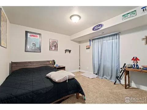1386 Copeland Falls Rd, Windsor, CO 80550 photo 33