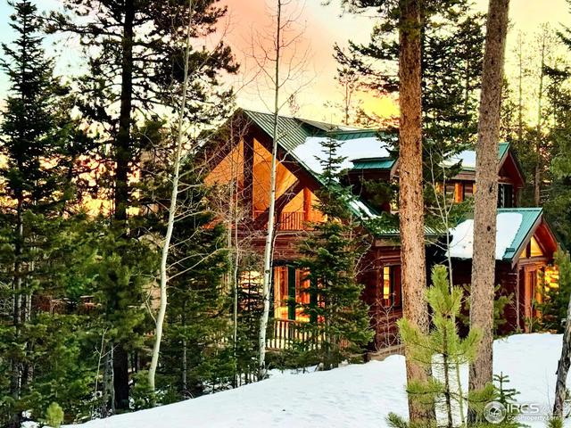 287 S Skinner Rd, Allenspark, CO 80510