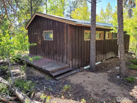 57 County Road 113, Allenspark, CO 80510