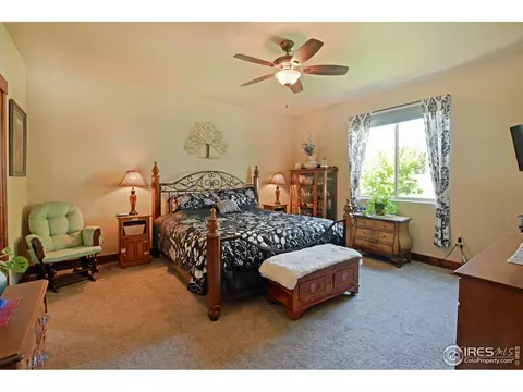 5648 Clarence Dr, Windsor, CO 80550 photo 18