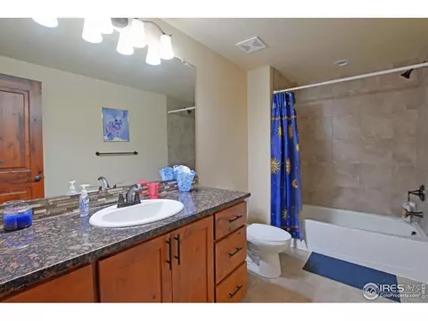 5648 Clarence Dr, Windsor, CO 80550 photo 29