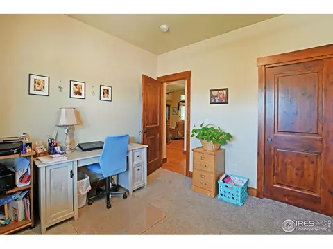 5648 Clarence Dr, Windsor, CO 80550 photo 22