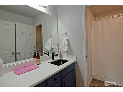 15997 Elk Pl, Denver, CO 80239 photo 21