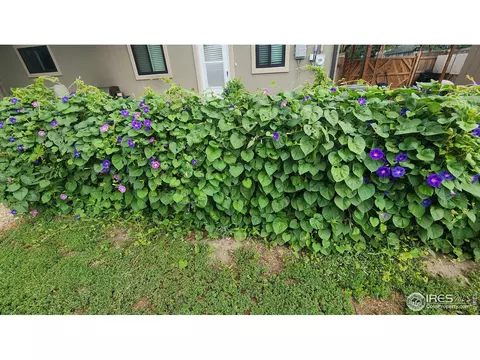 184 Bannock St, Sterling, CO 80751 photo 33