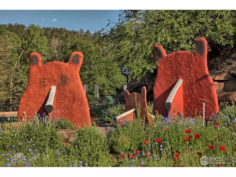 412 High St, Lyons, CO 80540 photo 34