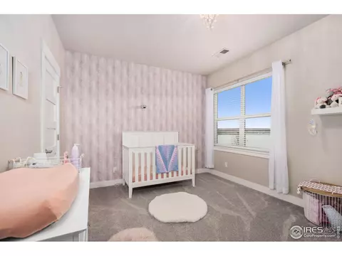1903 E Seadrift Dr, Windsor, CO 80550 photo 20