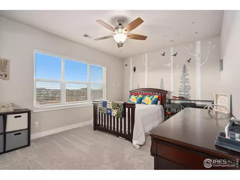 1903 E Seadrift Dr, Windsor, CO 80550 photo 21