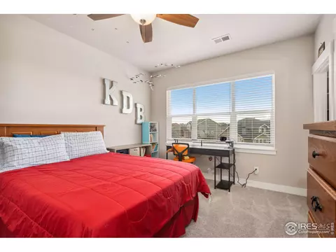 1903 E Seadrift Dr, Windsor, CO 80550 photo 22