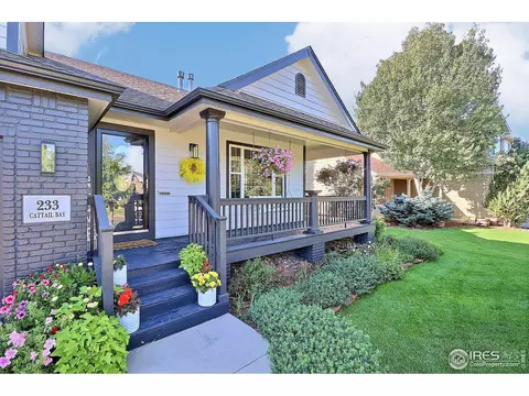 233 Cattail Bay, Windsor, CO 80550 photo 3