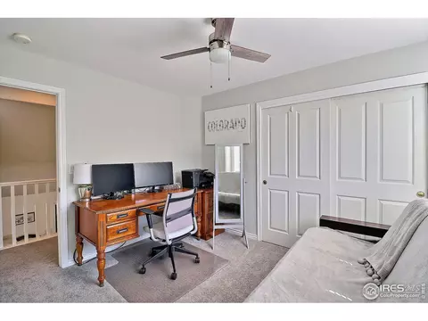 233 Cattail Bay, Windsor, CO 80550 photo 26