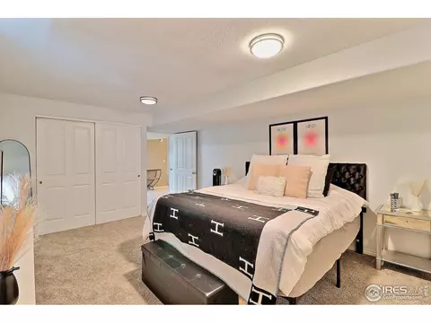 233 Cattail Bay, Windsor, CO 80550 photo 29