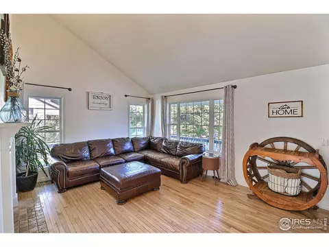 233 Cattail Bay, Windsor, CO 80550 photo 5
