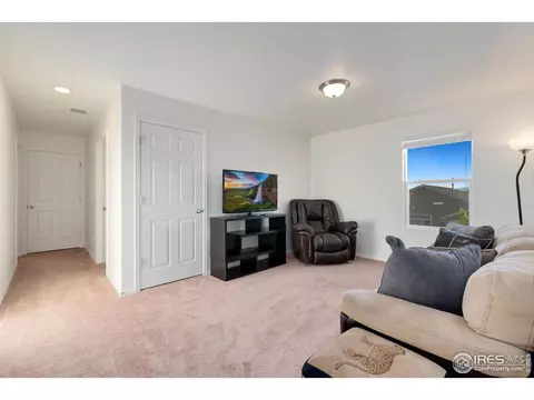 537 2nd St, Severance, CO 80550 photo 13