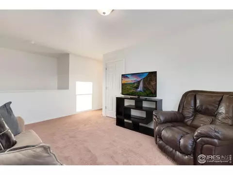 537 2nd St, Severance, CO 80550 photo 14