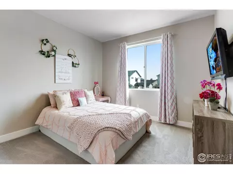 5213 Cloud Dance Dr, Timnath, CO 80547 photo 25