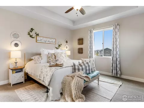 5213 Cloud Dance Dr, Timnath, CO 80547 photo 23