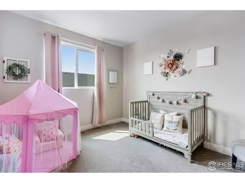 5213 Cloud Dance Dr, Timnath, CO 80547 photo 27