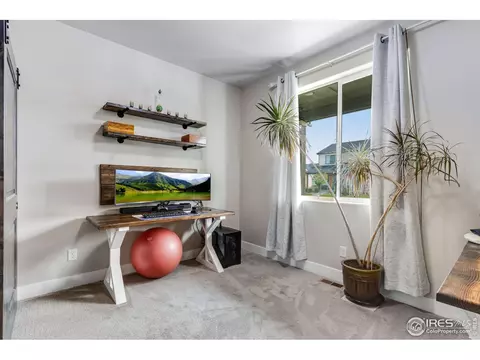 5213 Cloud Dance Dr, Timnath, CO 80547 photo 17