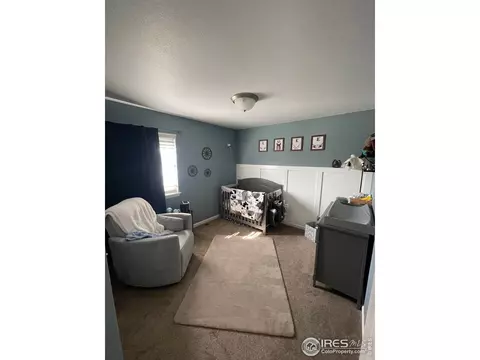 2139 Wagon Train Dr, Milliken, CO 80543 photo 25