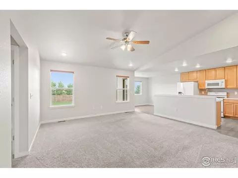 303 11th Ave, Wiggins, CO 80654 photo 34
