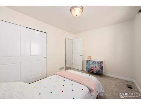 713 Mt Evans Ave, Severance, CO 80550 photo 21