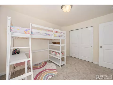 713 Mt Evans Ave, Severance, CO 80550 photo 23