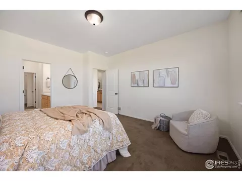 518 Cherryridge Dr, Windsor, CO 80550 photo 13