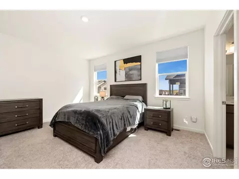 980 Cascade Falls St, Windsor, CO 80550 photo 11