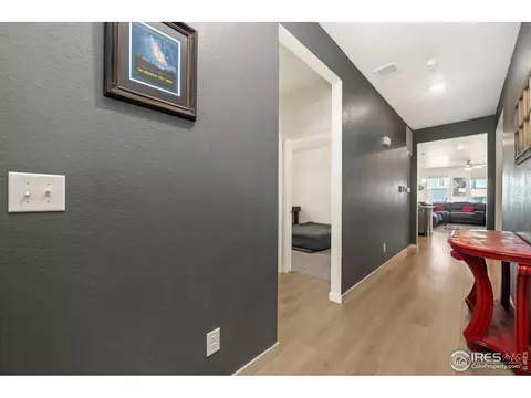 980 Cascade Falls St, Windsor, CO 80550 photo 3