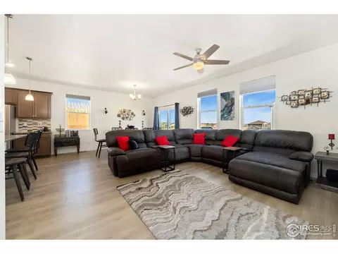 980 Cascade Falls St, Windsor, CO 80550 photo 7