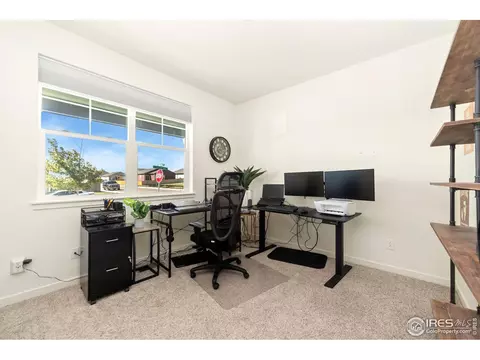 980 Cascade Falls St, Windsor, CO 80550 photo 14