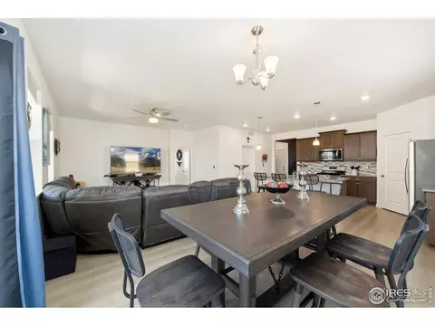 980 Cascade Falls St, Windsor, CO 80550 photo 9