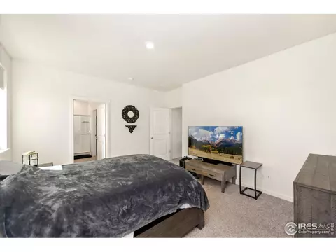 980 Cascade Falls St, Windsor, CO 80550 photo 12