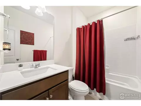 980 Cascade Falls St, Windsor, CO 80550 photo 15
