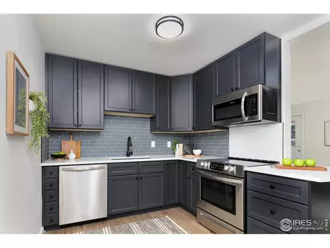 202 Ewald Ave, Lyons, CO 80540 photo 4