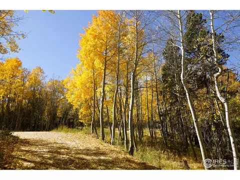 1136 Highpoint Cir, Black Hawk, CO 80422 photo 3