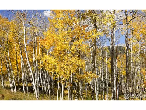 1136 Highpoint Cir, Black Hawk, CO 80422 photo 7