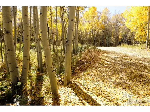 1136 Highpoint Cir, Black Hawk, CO 80422 photo 2