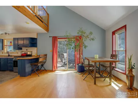 1136 Highpoint Cir, Black Hawk, CO 80422 photo 20
